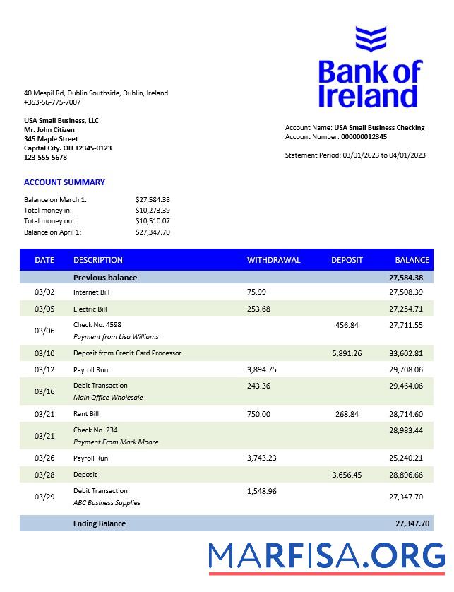 Realistic Bank of Ireland enterprise statement Word and PDF template